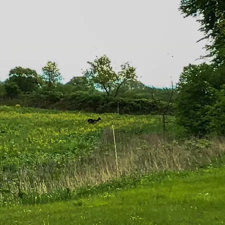 Historic By The Schlei Ferienhaus